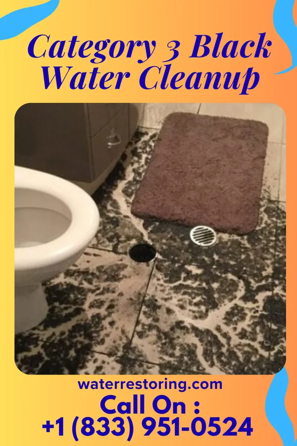Category 3 Black Water Cleanup in Sidney, IN