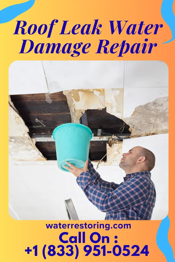 Roof Leak Water Damage Repair in Sidney, IN