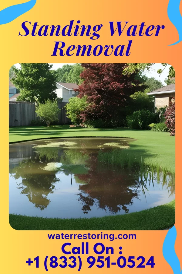 Standing Water Removal in Sidney, IN